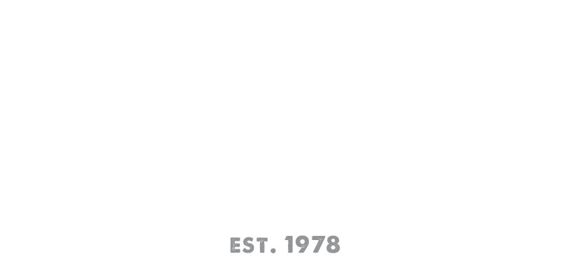 Savonlinnan Auto-Opisto Logo